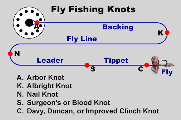 The Best Fly Fishing Knots and When and Where to Use Them