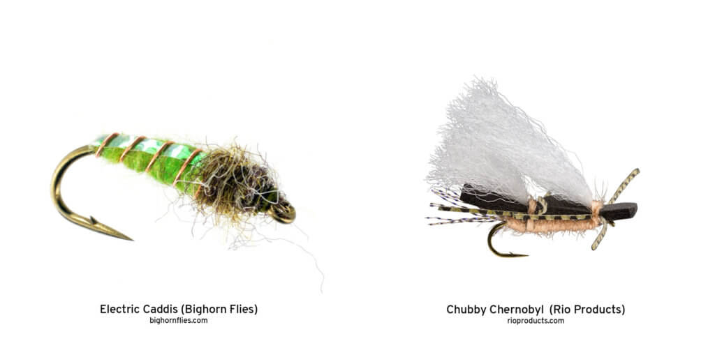 An Introduction to Spring and Summer Flies