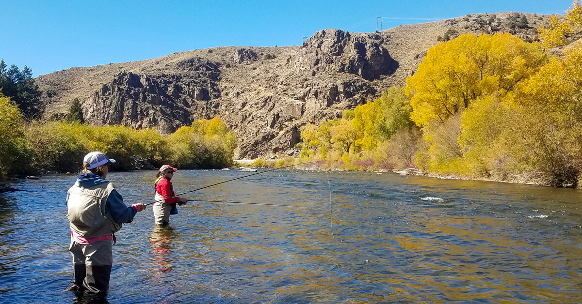 How to Choose the Best River for Fly Fishing in Colorado